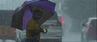 Heavy Rain Likely in 6 Districts of Tamil Nadu Today: Meteorological Department